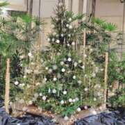 ヒメ日記 2025/12/06 22:39 投稿 ふうか 奥様の実話 梅田店