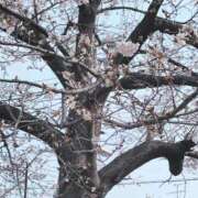 ヒメ日記 2026/04/01 18:31 投稿 ふうか 奥様の実話 梅田店