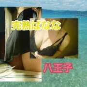 ヒメ日記 2025/09/25 16:09 投稿 あやか 完熟ばなな八王子