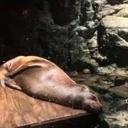 ヒメ日記 2025/10/05 11:06 投稿 一ノ瀬 まな Canx2神戸店