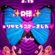 ヒメ日記 2026/02/16 04:22 投稿 あげは 柏人妻花壇