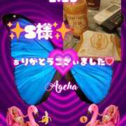 ヒメ日記 2026/02/26 19:49 投稿 あげは 柏人妻花壇