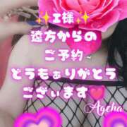 ヒメ日記 2026/03/01 16:39 投稿 あげは 柏人妻花壇