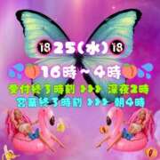 ヒメ日記 2026/03/25 13:56 投稿 あげは 柏人妻花壇