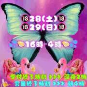 ヒメ日記 2026/03/28 10:38 投稿 あげは 柏人妻花壇