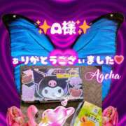 ヒメ日記 2026/03/29 21:08 投稿 あげは 柏人妻花壇