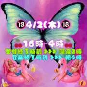 ヒメ日記 2026/04/02 14:52 投稿 あげは 柏人妻花壇