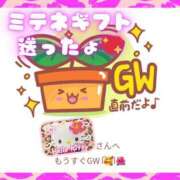 ヒメ日記 2026/04/02 16:23 投稿 あげは 柏人妻花壇