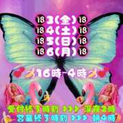 ヒメ日記 2026/04/03 00:04 投稿 あげは 柏人妻花壇