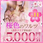 ヒメ日記 2026/04/10 05:48 投稿 あげは 柏人妻花壇