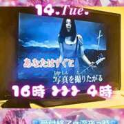 ヒメ日記 2026/04/14 11:01 投稿 あげは 柏人妻花壇