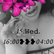 ヒメ日記 2026/04/15 10:45 投稿 あげは 柏人妻花壇