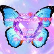 ヒメ日記 2026/04/28 19:32 投稿 あげは 柏人妻花壇