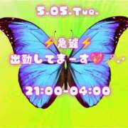 ヒメ日記 2026/05/06 00:51 投稿 あげは 柏人妻花壇