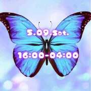 ヒメ日記 2026/05/09 11:45 投稿 あげは 柏人妻花壇