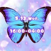 ヒメ日記 2026/05/13 06:01 投稿 あげは 柏人妻花壇