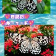 ヒメ日記 2026/06/21 17:02 投稿 あげは 柏人妻花壇