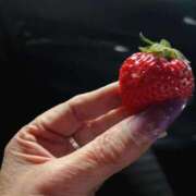 ヒメ日記 2026/02/20 16:08 投稿 あん 待ちナビ