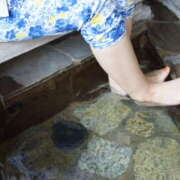 ヒメ日記 2025/11/01 08:43 投稿 ふみか ライラック