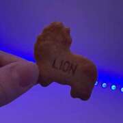 れお おはよっ🩶 鎌倉御殿 新館