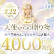ヒメ日記 2026/02/20 20:55 投稿 あいり 水戸人妻花壇