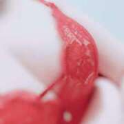 ヒメ日記 2025/10/31 01:58 投稿 坂田 なずな 30代40代50代と遊ぶなら博多人妻専科24時