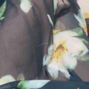 ヒメ日記 2025/11/08 03:57 投稿 坂田 なずな 30代40代50代と遊ぶなら博多人妻専科24時