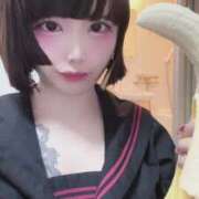 ヒメ日記 2025/11/20 10:27 投稿 はつね IRIS一宮