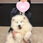 ヒメ日記 2026/02/15 16:05 投稿 はつね IRIS一宮