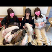 ヒメ日記 2026/01/07 14:32 投稿 太田あまね ぎゅーぎゅう電車