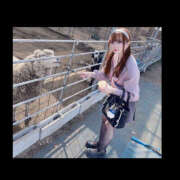 ヒメ日記 2026/02/25 17:48 投稿 太田あまね ぎゅーぎゅう電車