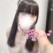 ヒメ日記 2025/10/01 12:15 投稿 とき 恋するバニー