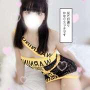 ヒメ日記 2025/11/03 08:01 投稿 とき 恋するバニー