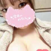 ヒメ日記 2025/12/13 19:38 投稿 さな カルテ