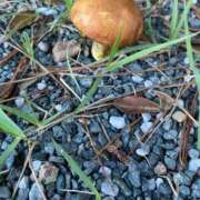 ヒメ日記 2025/10/08 07:14 投稿 みゆう 山口下関ちゃんこ