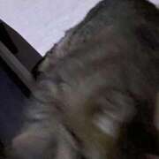 ヒメ日記 2025/11/02 07:44 投稿 みゆう 山口下関ちゃんこ