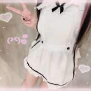 ヒメ日記 2025/09/29 00:31 投稿 るる 舐めていいとも！柏店