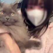 ヒメ日記 2026/02/10 17:26 投稿 ゆうか THE ESUTE 五反田店