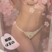 ヒメ日記 2025/10/02 09:20 投稿 桜庭はるの やみつきエステ錦糸町店