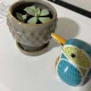 ヒメ日記 2026/03/01 09:50 投稿 桜庭はるの やみつきエステ錦糸町店