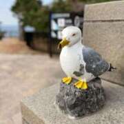 ヒメ日記 2026/03/22 13:00 投稿 桜庭はるの やみつきエステ錦糸町店