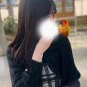 ヒメ日記 2026/01/20 01:39 投稿 のま E+アイドルスクール船橋店