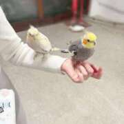 ヒメ日記 2026/03/23 13:17 投稿 のま E+アイドルスクール船橋店