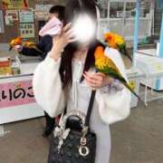 ヒメ日記 2026/05/11 12:07 投稿 のま E+アイドルスクール船橋店