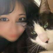 ヒメ日記 2025/11/29 19:28 投稿 まや E+アイドルスクール船橋店