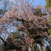 ヒメ日記 2026/02/15 16:17 投稿 さや 神田はっち