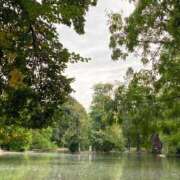 ヒメ日記 2025/10/23 18:18 投稿 まいか｜シルバークラス 博多プラチナム