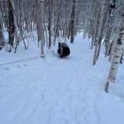 ヒメ日記 2025/11/21 22:39 投稿 まいか｜シルバークラス 博多プラチナム