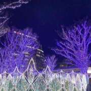 ヒメ日記 2025/11/25 18:15 投稿 まいか｜シルバークラス 博多プラチナム