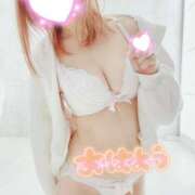 ヒメ日記 2025/09/27 13:37 投稿 リリカ(奥方) 奥様幕府